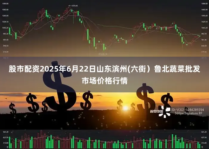 股市配资2025年6月22日山东滨州(六街）鲁北蔬菜批发市场价格行情