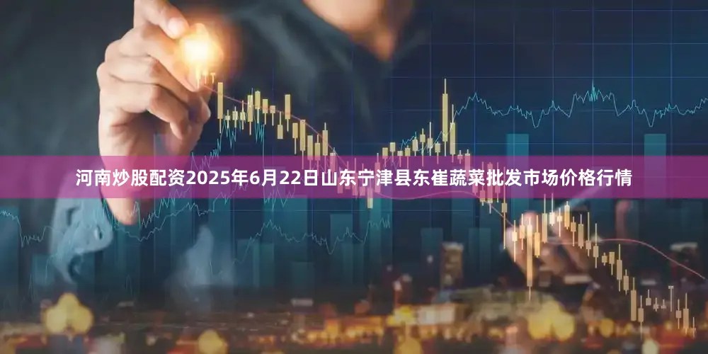 河南炒股配资2025年6月22日山东宁津县东崔蔬菜批发市场价格行情