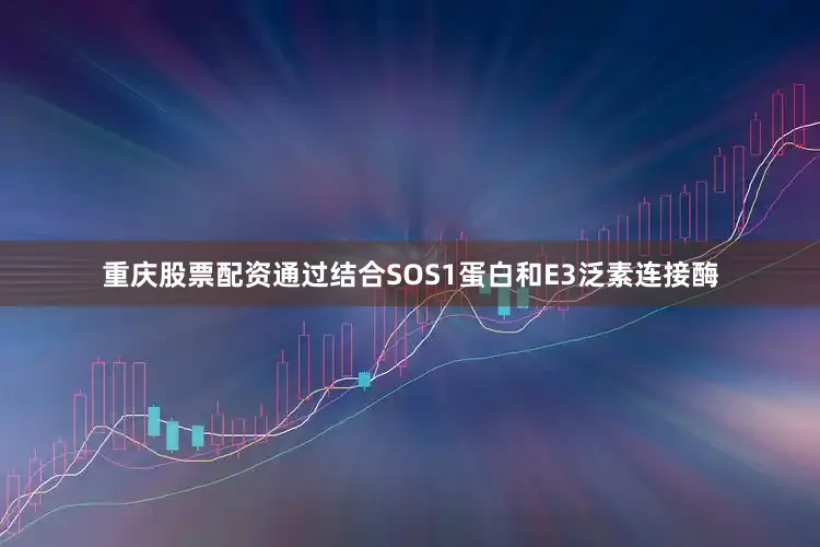 重庆股票配资通过结合SOS1蛋白和E3泛素连接酶