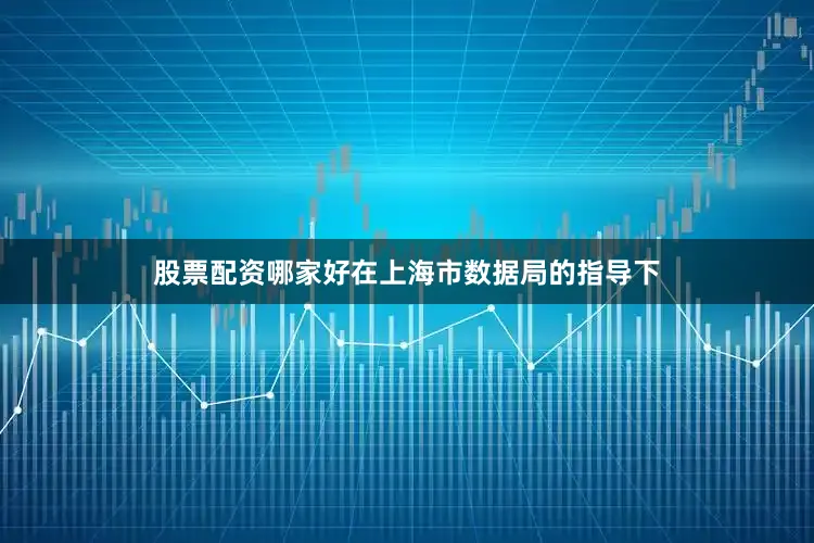 股票配资哪家好在上海市数据局的指导下